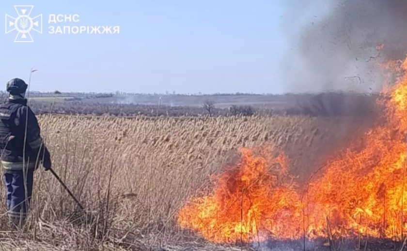 На території Запорізької області рятувальники ліквідували 9 пожеж в екосистемах